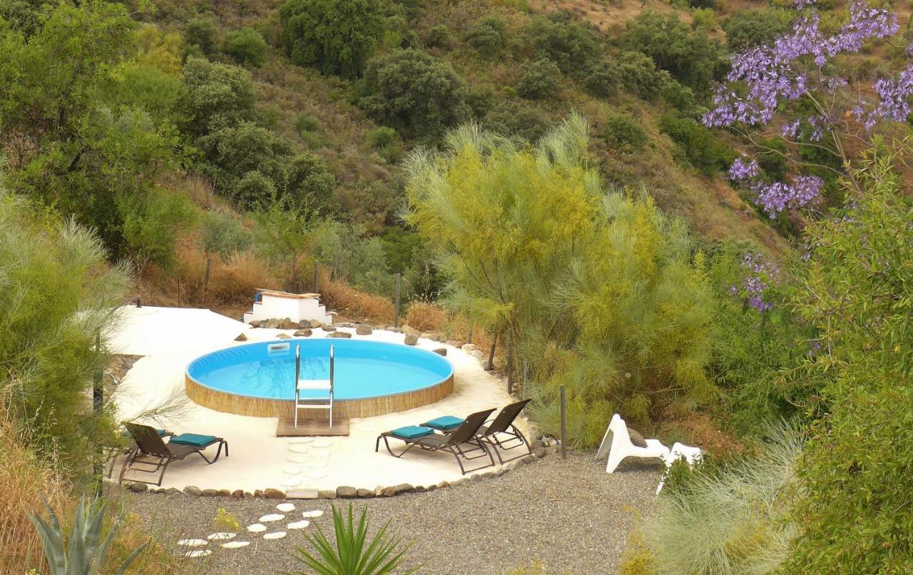 Corazón Andaluz Bed and Breakfast Coín Dış mekan fotoğraf